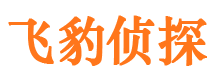 自流井外遇调查取证